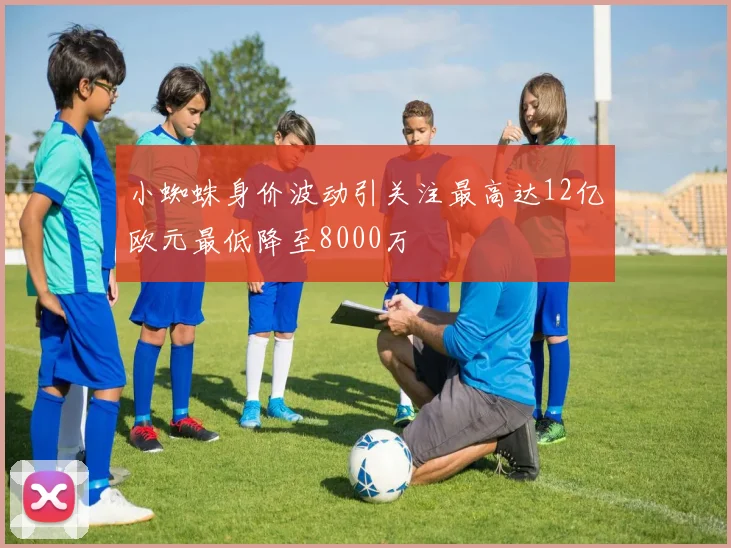 小蜘蛛身价波动引关注最高达12亿欧元最低降至8000万